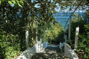  Studios Andreas  Букарис